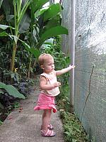 IMG 7422