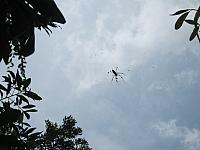 IMG 7437