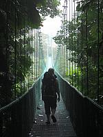 IMG 7611