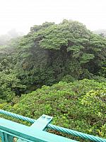 IMG 7628