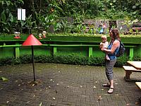 IMG 7682