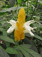 IMG 7824