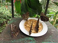 IMG 7838