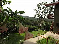 IMG 7887
