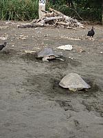IMG 8112