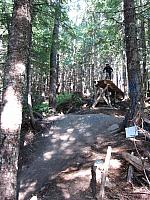 IMG 4474