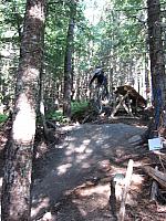 IMG 4476