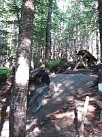 IMG 4477