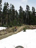 IMG 4608