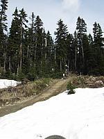 IMG 4611