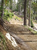 IMG 4629