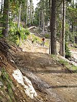 IMG 4630