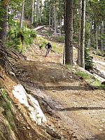 IMG 4649