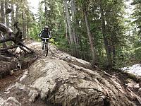 IMG 4695