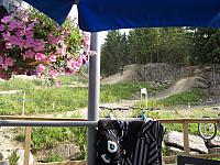 IMG 4777
