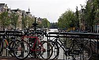 DSC 0133