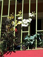 Picture 219