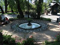 Picture 222