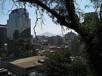 Picture 235