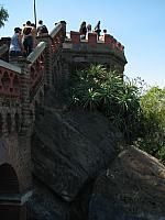 Picture 237