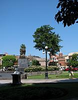 AZ007