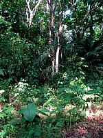 IMG 2064