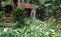DSC 0004