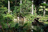 DSC 0005