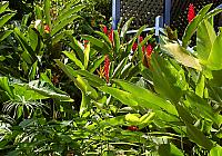 DSC 0019