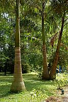 DSC 0020
