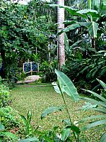 IMG 2319