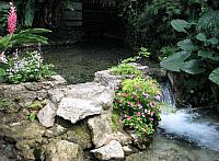 IMG 2351