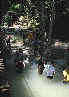 IMG 2361