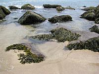 201107 115