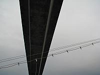 201107 662