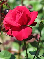 201107 1124