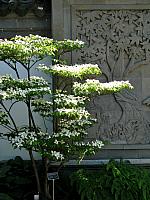 201107 1142