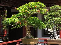 201107 1168