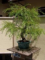 201107 1181
