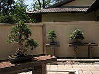201107 1183