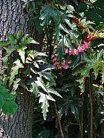 201107 1221