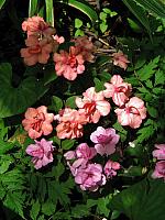 201107 1226