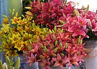 201108 340