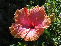 201109 373