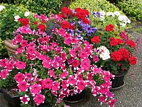 201109 020