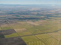 Rice paddies & Sacramento River