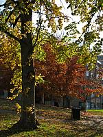 201111 017