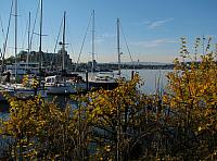 201111 021