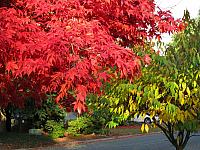 201111 003