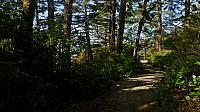 201203 044